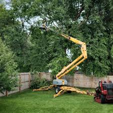 Best Tree Trimming and Pruning  in Highland Village, TX