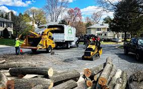 Best Lawn Mowing  in Highland Village, TX