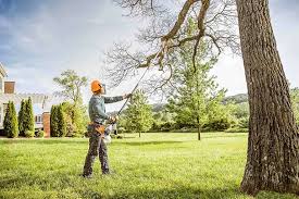 Trusted Highland Village, TX Tree Services Experts